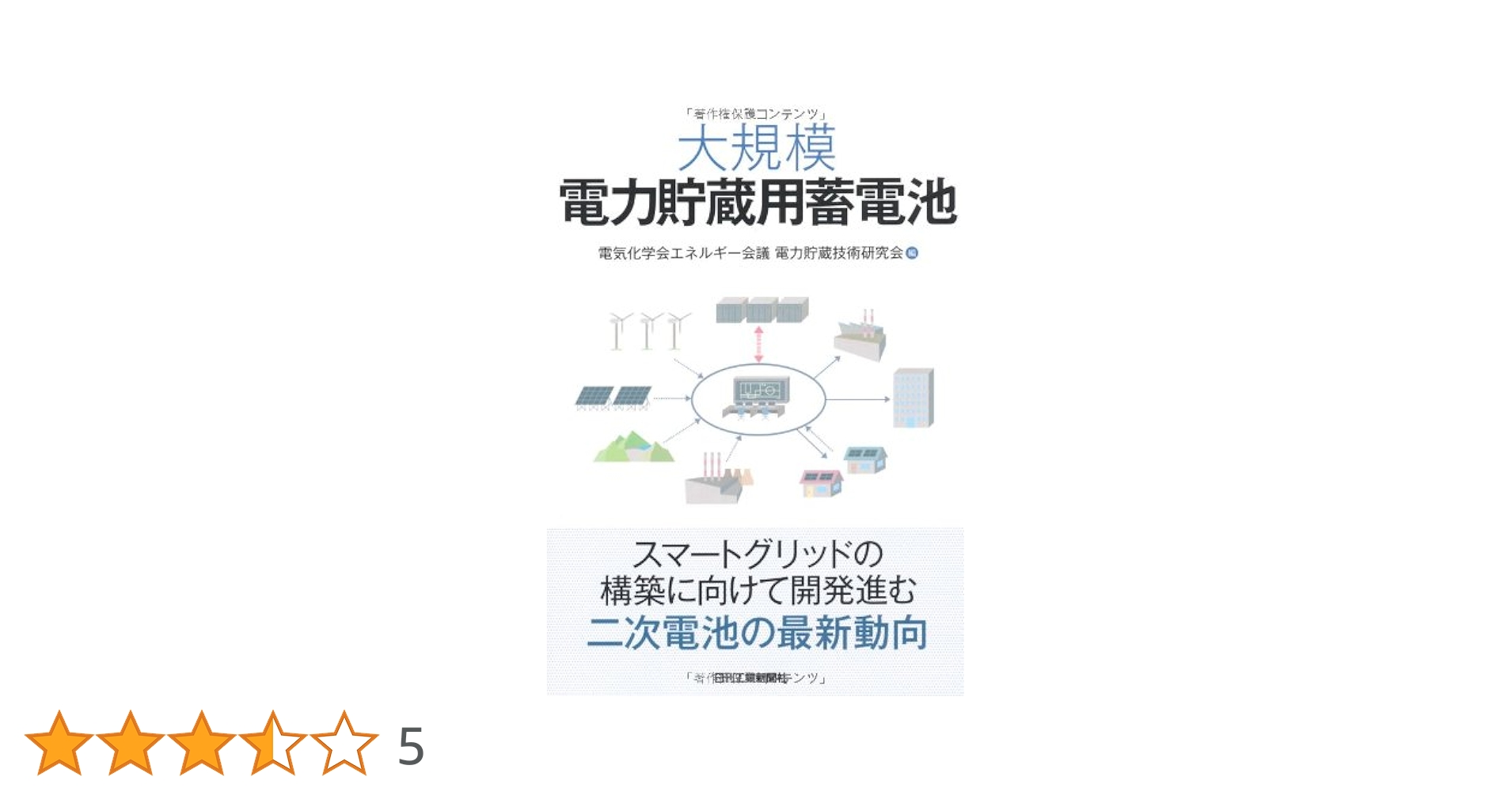 大規模電力貯蔵用蓄電池 Amazon.co.jp: 大規模電力貯蔵用蓄電池 : 電気化学会エネルギー